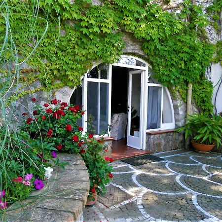 Villa Le Olivine Σορέντο Εξωτερικό φωτογραφία