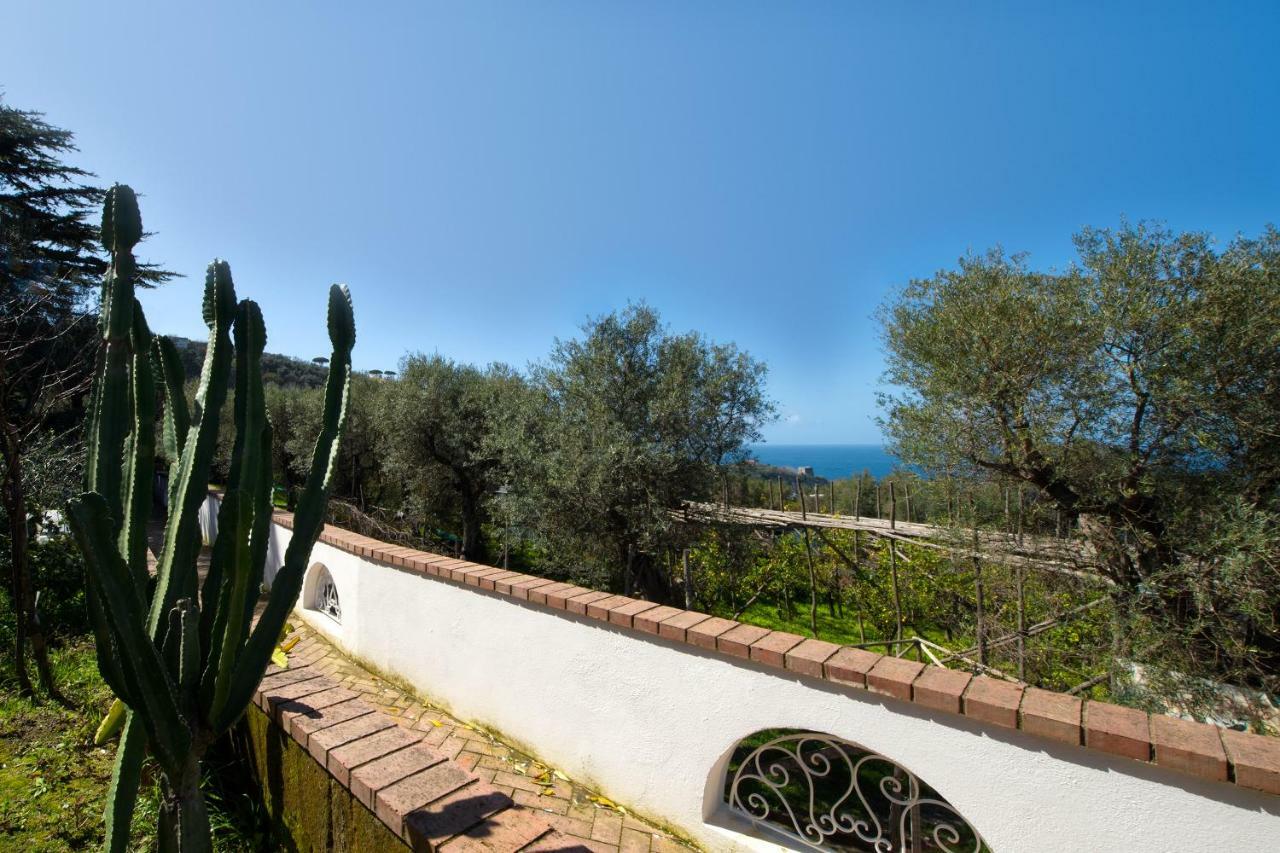 Villa Le Olivine Σορέντο Εξωτερικό φωτογραφία