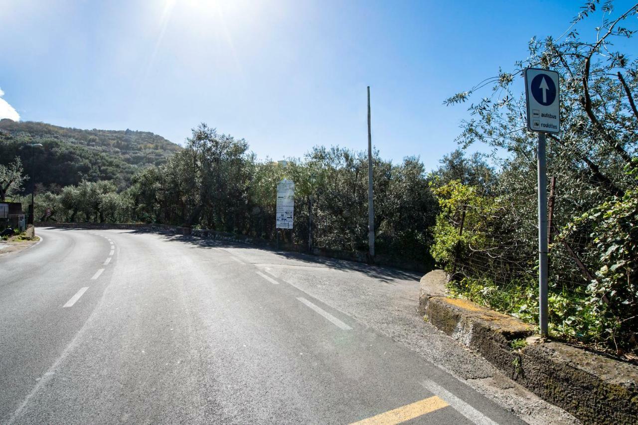 Villa Le Olivine Σορέντο Εξωτερικό φωτογραφία