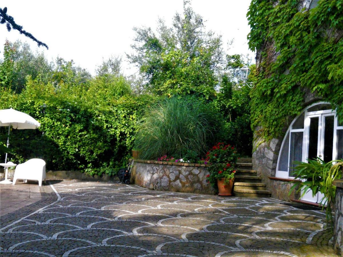 Villa Le Olivine Σορέντο Εξωτερικό φωτογραφία