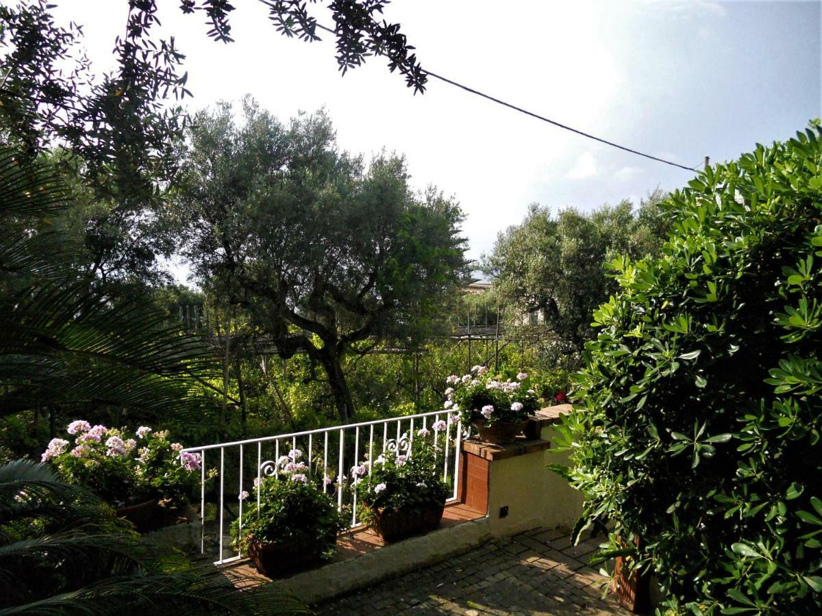 Villa Le Olivine Σορέντο Εξωτερικό φωτογραφία