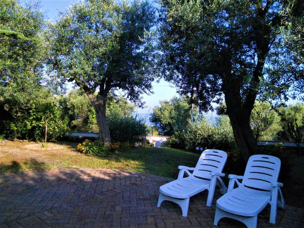 Villa Le Olivine Σορέντο Εξωτερικό φωτογραφία