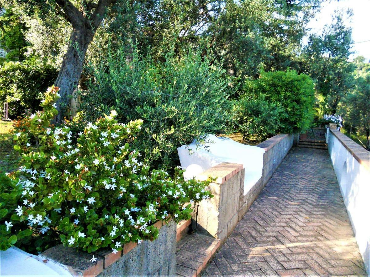 Villa Le Olivine Σορέντο Εξωτερικό φωτογραφία
