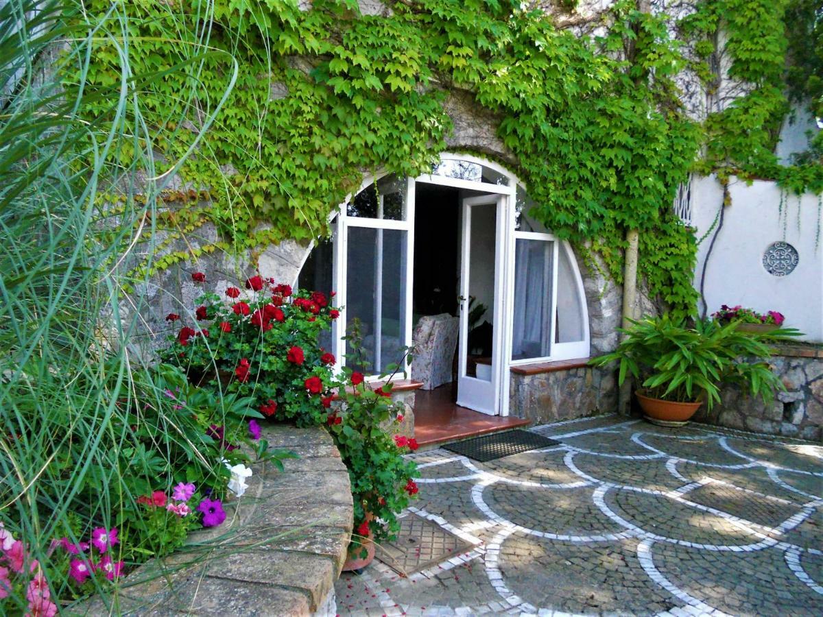 Villa Le Olivine Σορέντο Εξωτερικό φωτογραφία